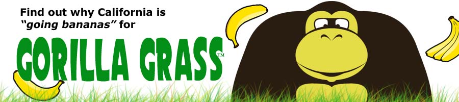 find out why california is going bananas